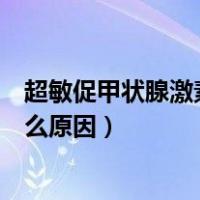 超敏促甲状腺激素高是什么回事（超敏促甲状腺激素高是什么原因）
