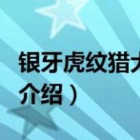 银牙虎纹猎犬物语（关于银牙虎纹猎犬物语的介绍）