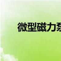 微型磁力泵（关于微型磁力泵的介绍）