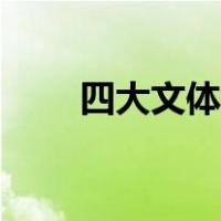 四大文体用英语怎么说（四大文体）