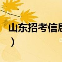 山东招考信息网（关于山东招考信息网的介绍）