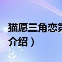 猫愿三角恋第二季（关于猫愿三角恋第二季的介绍）
