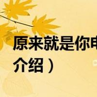 原来就是你电视剧（关于原来就是你电视剧的介绍）