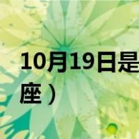 10月19日是什么星座的（10月19日是什么星座）