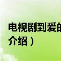 电视剧到爱的距离（关于电视剧到爱的距离的介绍）