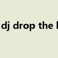 dj drop the beat翻译（dj drop the beat）