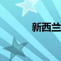 新西兰松木家具（新西兰松木）