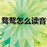 骛鹜怎么读音（婺 骛 鹜 骜怎么读 怎么解释）