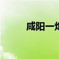 咸阳一炬（关于咸阳一炬的介绍）