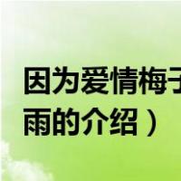 因为爱情梅子黄时雨（关于因为爱情梅子黄时雨的介绍）