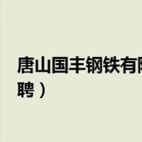 唐山国丰钢铁有限公司拍卖结果（唐山国丰钢铁有限公司招聘）