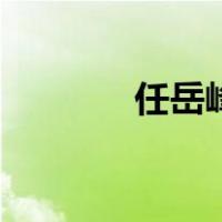 任岳峰（关于任岳峰的介绍）