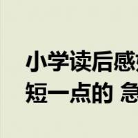 小学读后感如何写（小学生读后感怎么写 要短一点的 急）
