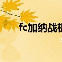 fc加纳战机（关于fc加纳战机的介绍）