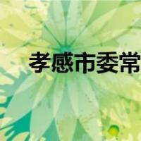 孝感市委常委吴琼公示（孝感市委常委）