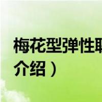 梅花型弹性联轴器（关于梅花型弹性联轴器的介绍）