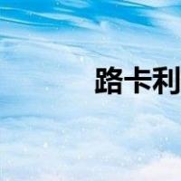 路卡利欧配招（路卡利欧配招）