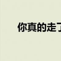 你真的走了（关于你真的走了的介绍）