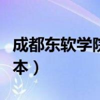 成都东软学院是不是一本（成都东软学院是几本）