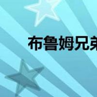 布鲁姆兄弟（关于布鲁姆兄弟的介绍）