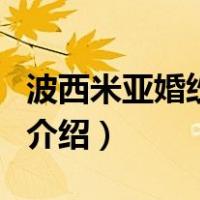 波西米亚婚纱摄影（关于波西米亚婚纱摄影的介绍）