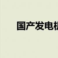 国产发电机（关于国产发电机的介绍）