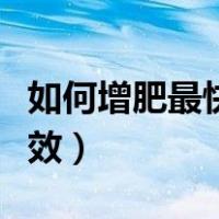 如何增肥最快的秘诀大全（如何增肥最快最有效）