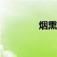 烟熏食品香精（烟熏食品）