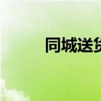 同城送货平台有哪些（同城送货）