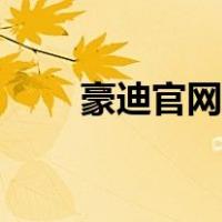 豪迪官网怎么进不去了（豪迪官网）