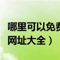 哪里可以免费发布信息（任意发免费发布信息网址大全）