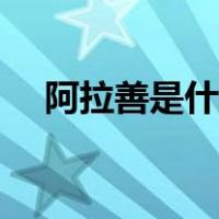 阿拉善是什么民族（阿拉善是什么意思）