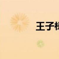 王子様（关于王子様的介绍）