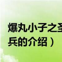 爆丸小子之圣石奇兵（关于爆丸小子之圣石奇兵的介绍）