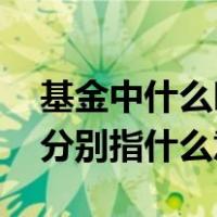 基金中什么叫加仓（基金的术语 加仓和补仓分别指什么意思）