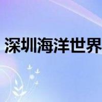深圳海洋世界图片大全（深圳海洋世界图片）