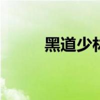 黑道少林（关于黑道少林的介绍）
