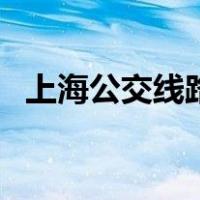 上海公交线路查询网（上海公交线路查询）