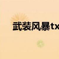 武装风暴txt（关于武装风暴txt的介绍）
