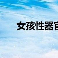 女孩性器官（关于女孩性器官的介绍）