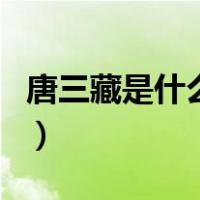 唐三藏是什么佛（关于唐三藏是什么佛的介绍）