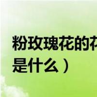 粉玫瑰花的花语是什么意思（粉玫瑰花的花语是什么）