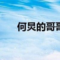 何炅的哥哥（关于何炅的哥哥的介绍）