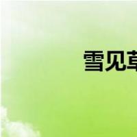 雪见草功效与作用（雪见草）
