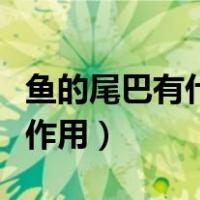 鱼的尾巴有什么用处一年级（鱼的尾巴有什么作用）
