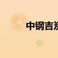 中钢吉炭（关于中钢吉炭的介绍）