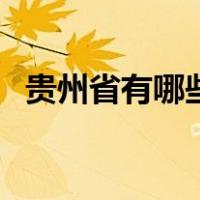 贵州省有哪些股票（贵州省有哪些市区县）