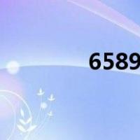 6589t（关于6589t的介绍）