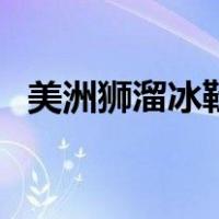 美洲狮溜冰鞋（关于美洲狮溜冰鞋的介绍）