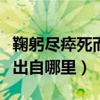 鞠躬尽瘁死而后已出自谁（鞠躬尽瘁死而后已出自哪里）